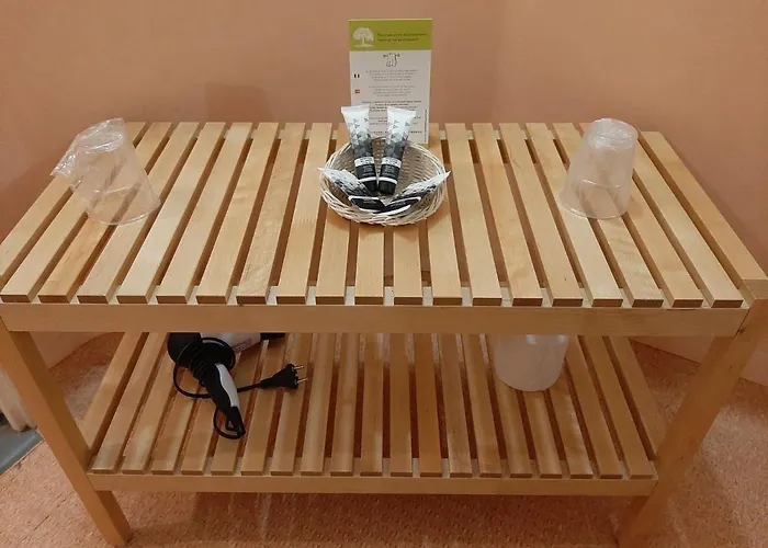 Hoteliere Laudine 3* Reims